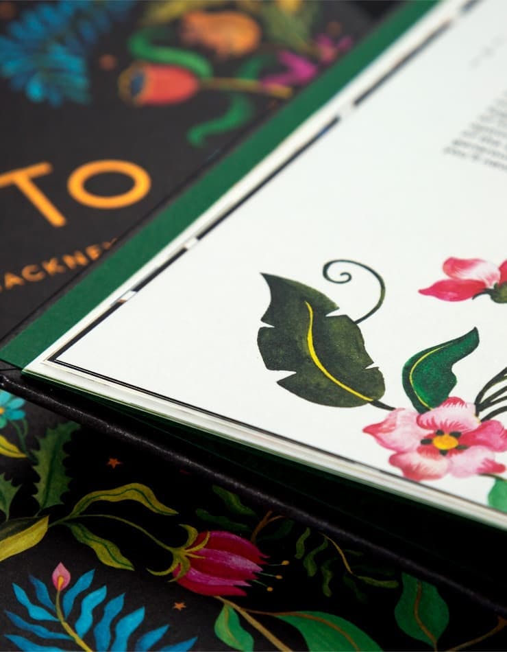 The Otto | Brochure Design | Steve Edge Design