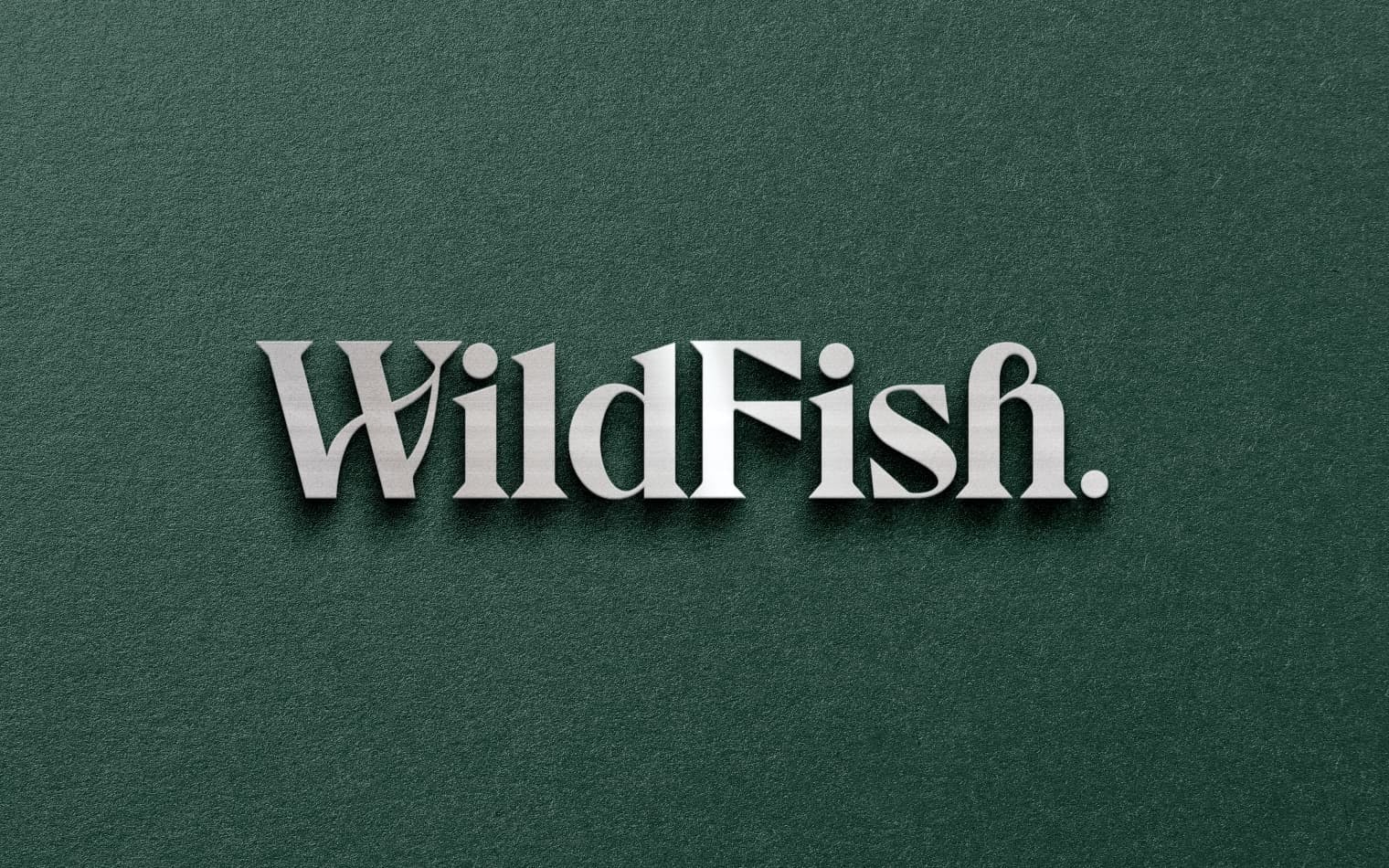 WildFish | Logo Design | Steve Edge Design