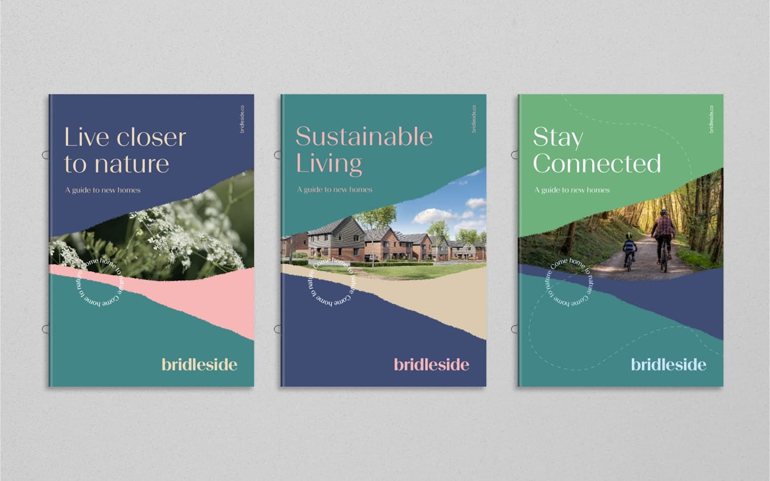 Bridleside | Brochure Design | Print Design | Steve Edge Design