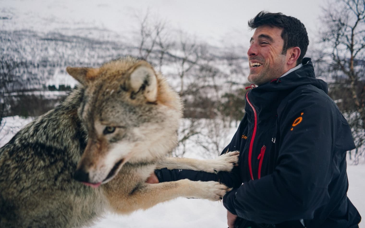 Pelorus | Travel Branding | Steve Edge Design