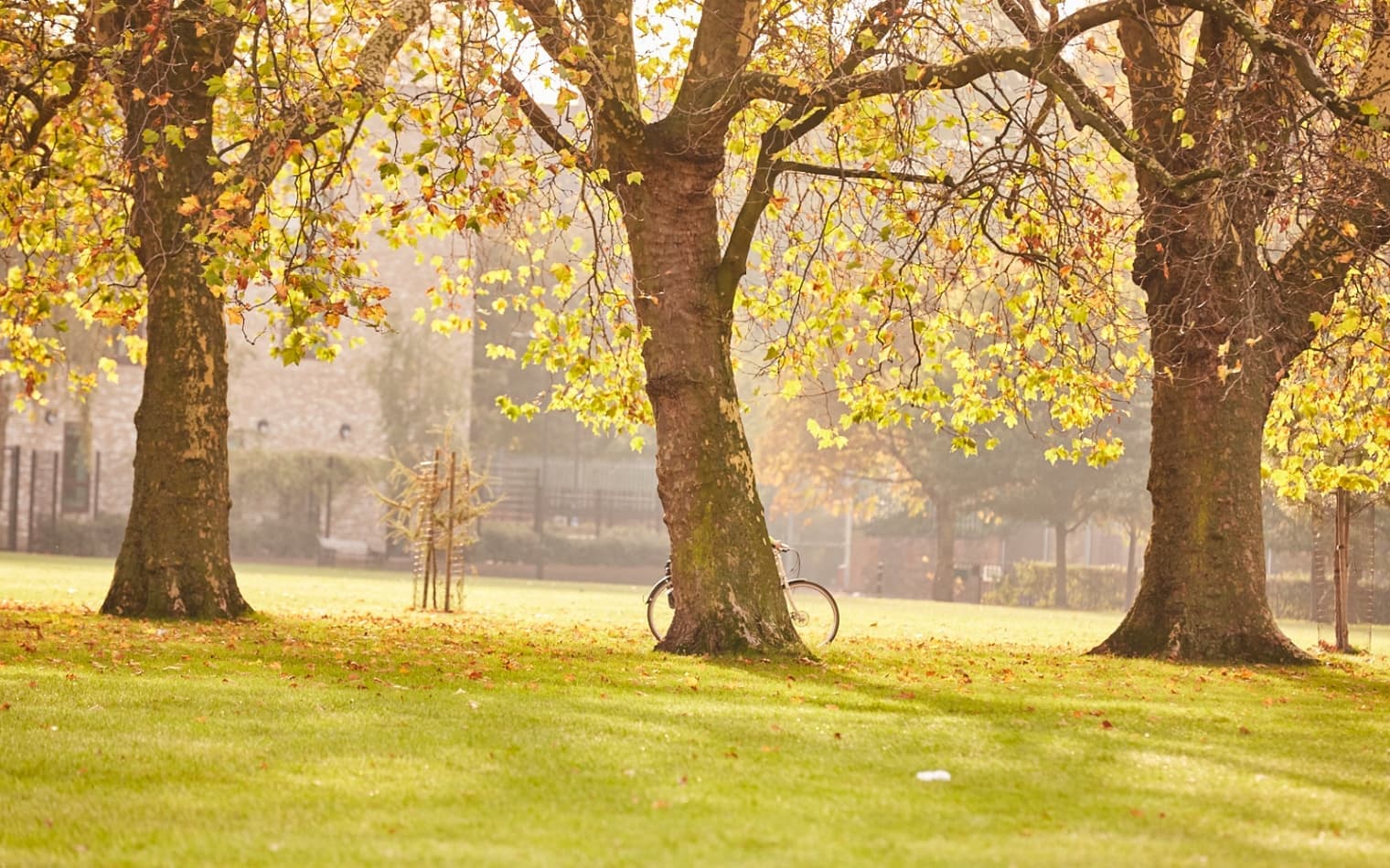 The Otto | Property Branding | Real Estate Branding | Steve Edge Design