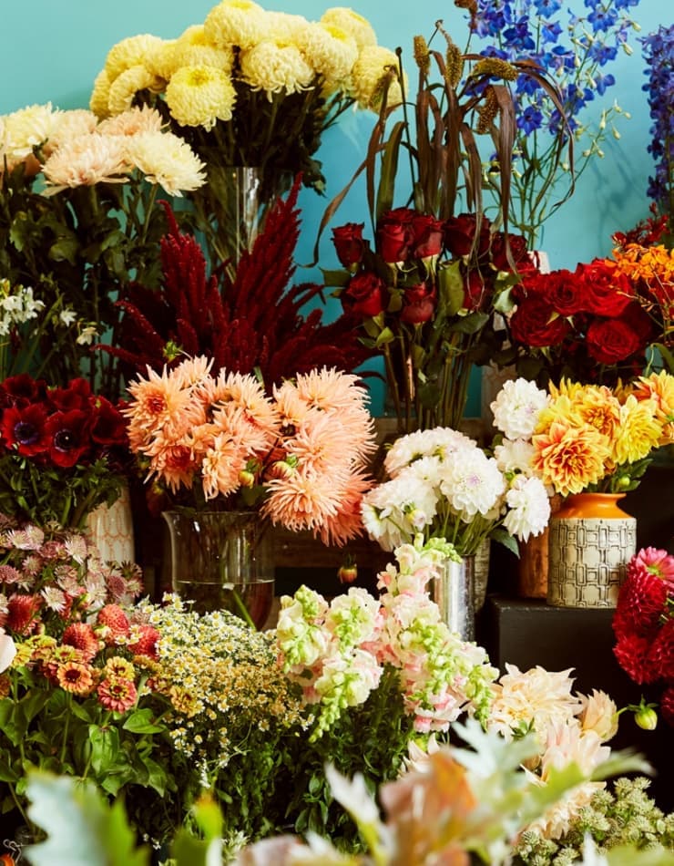 The Otto | Property Branding | Real Estate Branding | Steve Edge Design