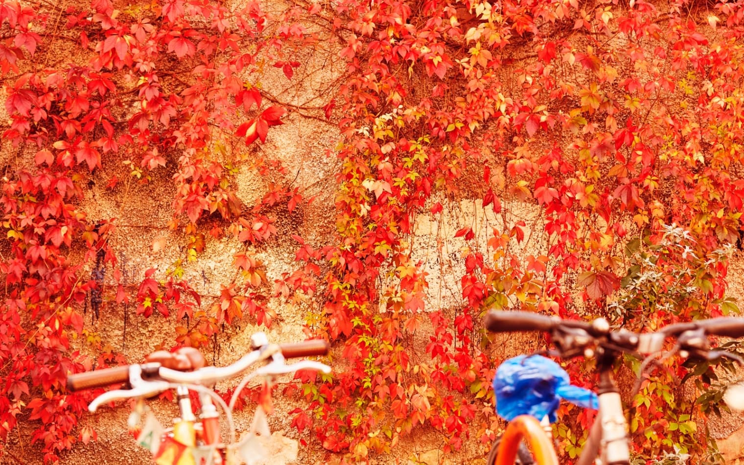 The Otto | Property Branding | Real Estate Branding | Steve Edge Design