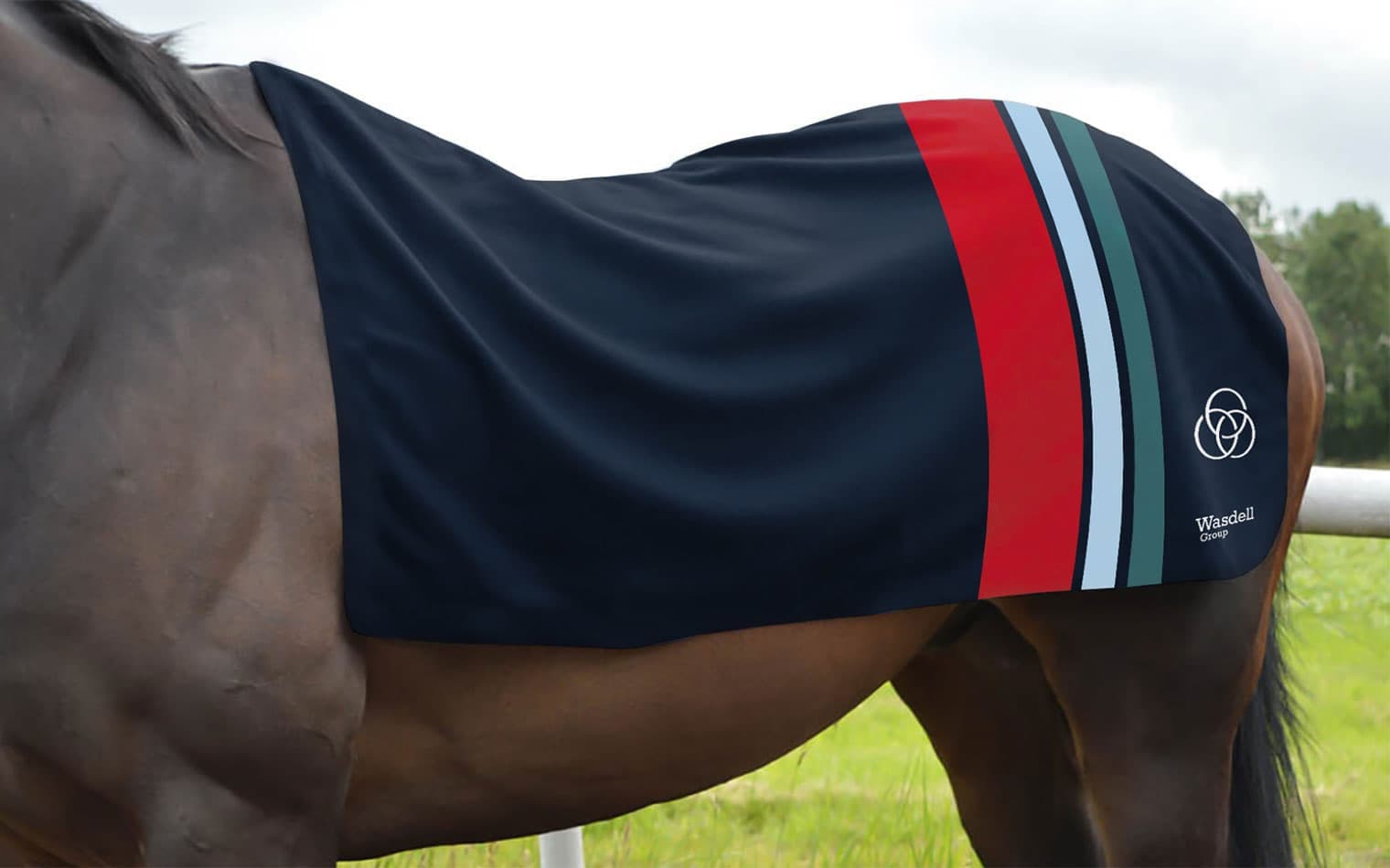 O'Neill Racing | Racehorse Trainer Branding & Web Design | Steve Edge Design