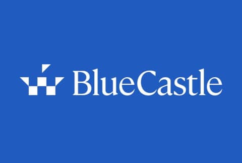 BlueCastle Capital | Website Build | Branding Agency | Financial Sector Branding | Work | Steve Edge Design